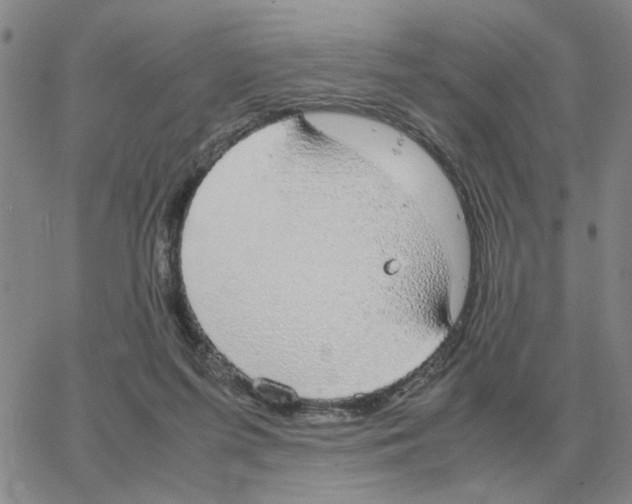 X0000064770215200603131442