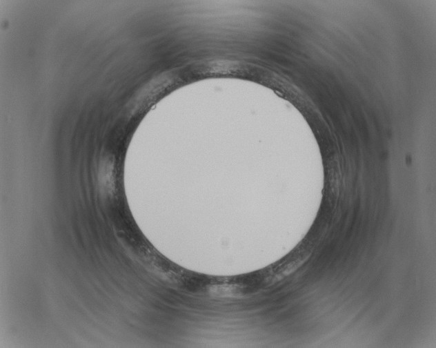 X0000064770216200603131442