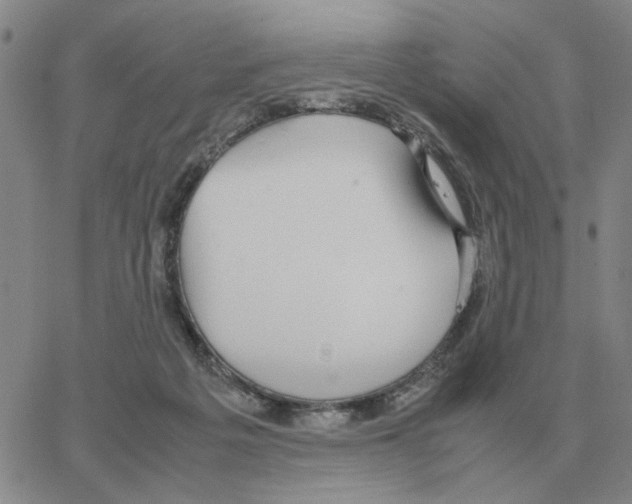 X0000064770217200603131442