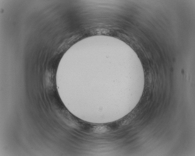 X0000064770218200603131442