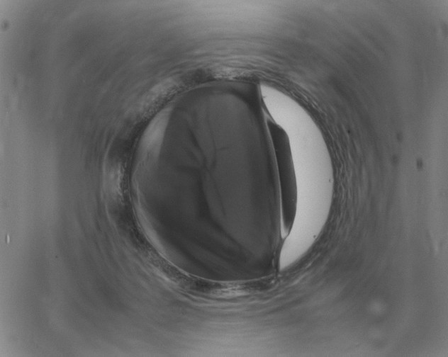 X0000064770219200603131442