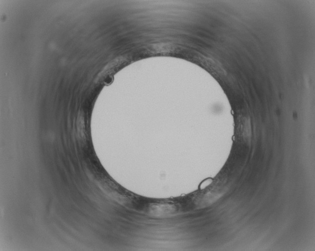 X0000064770220200603131442