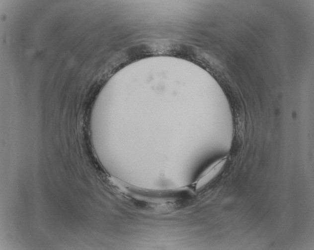 X0000064770221200603131442