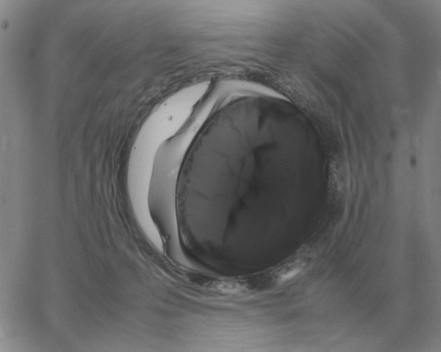 X0000064770223200603131442