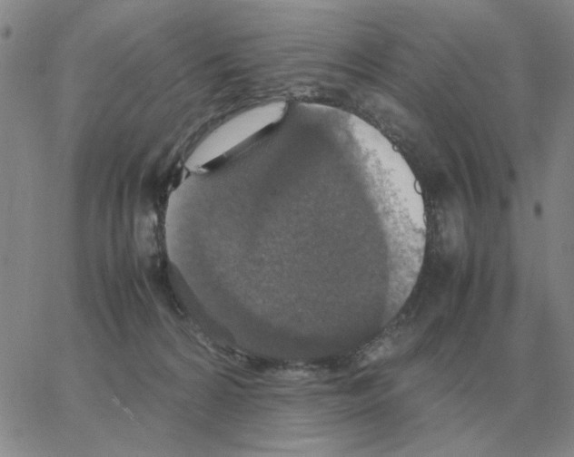 X0000064770224200603131442