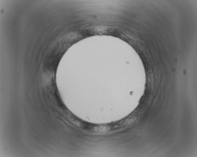 X0000064770225200603131442