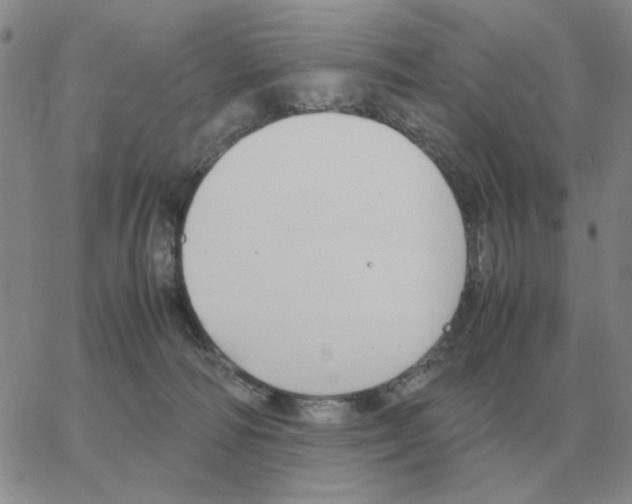 X0000064770226200603131442