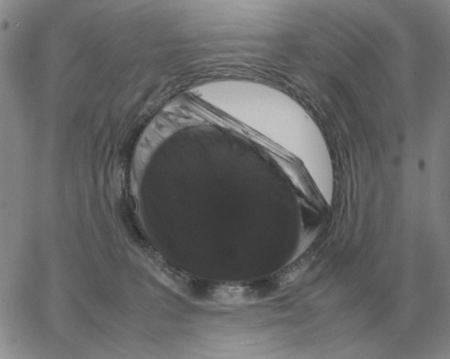 X0000064770227200603131442