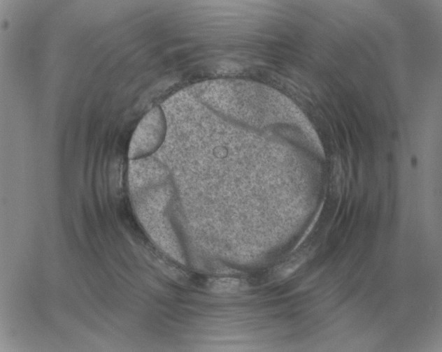 X0000064770230200603131442