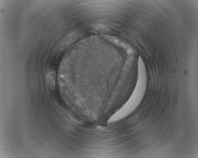 X0000064770232200603131442