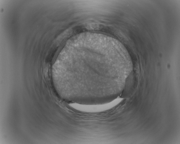 X0000064770233200603131442