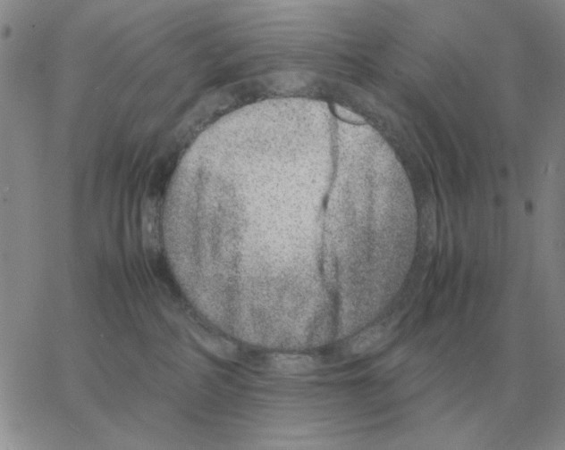 X0000064770234200603131441