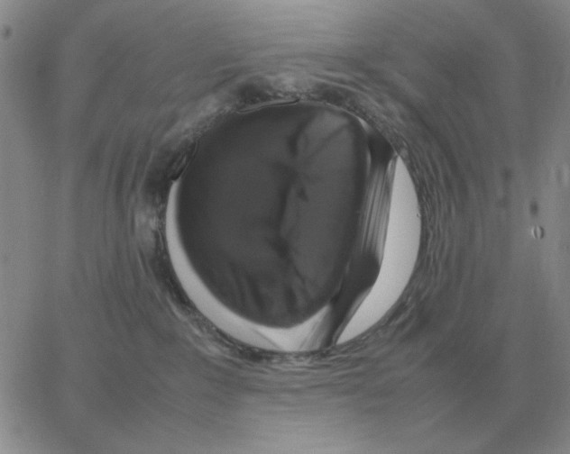 X0000064770235200603131441