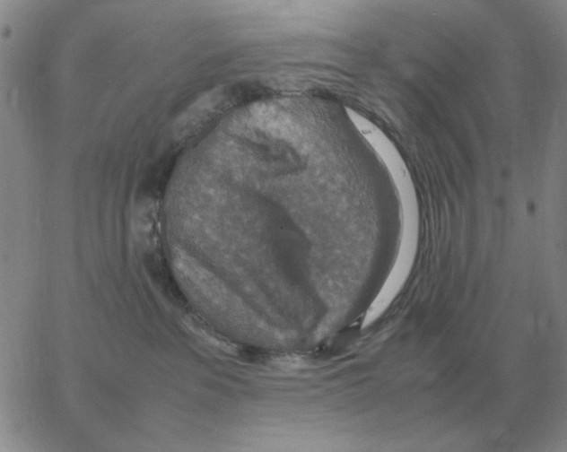 X0000064770237200603131441