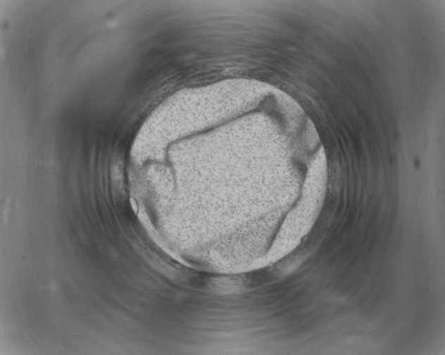 X0000064770238200603131441