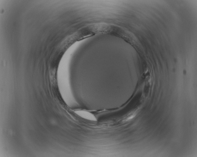 X0000064770239200603131441