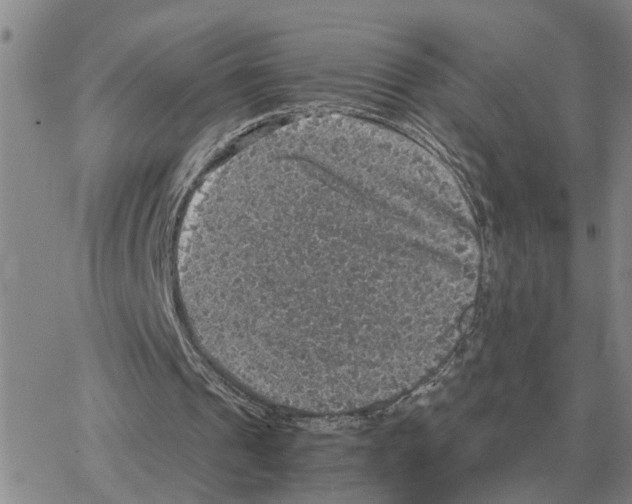 X0000064770241200603131441