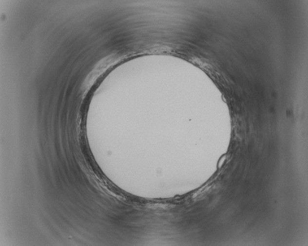 X0000064770242200603131441