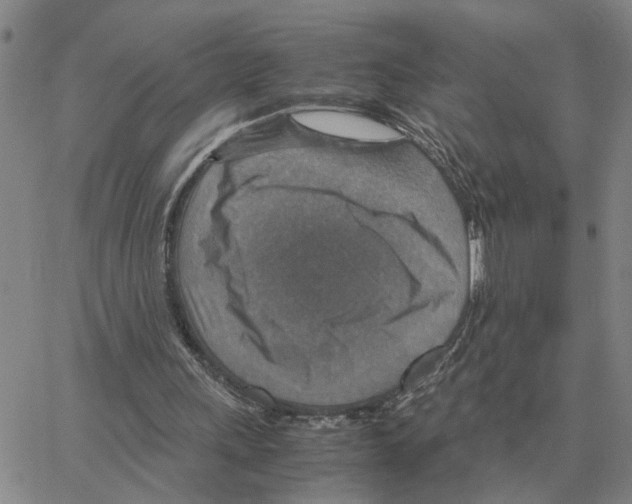 X0000064770243200603131441