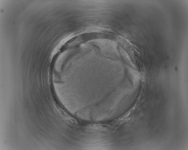 X0000064770244200603131441