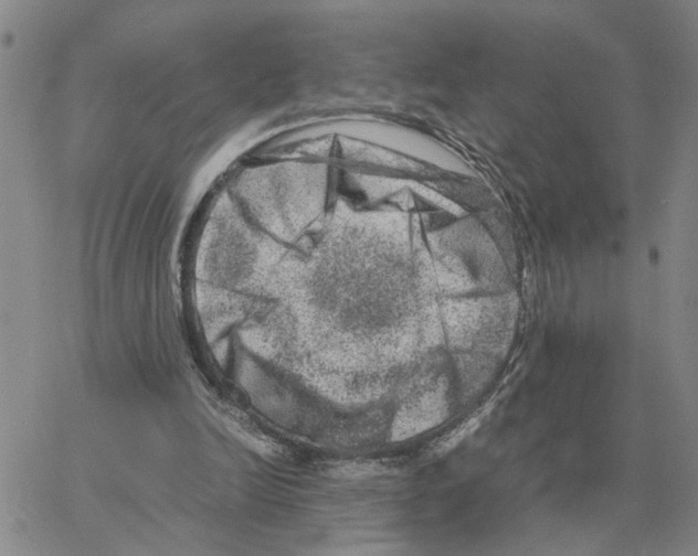 X0000064770246200603131441