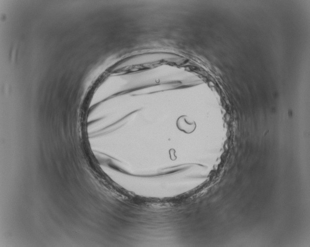 X0000064770248200603131441