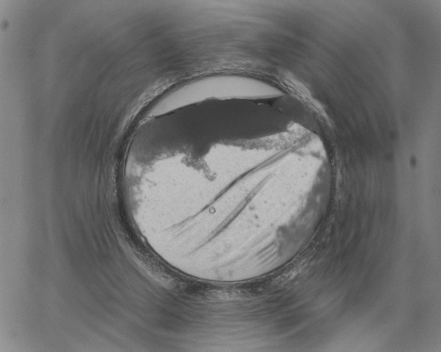 X0000064770250200603131441