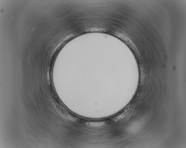 X0000064770251200603131441