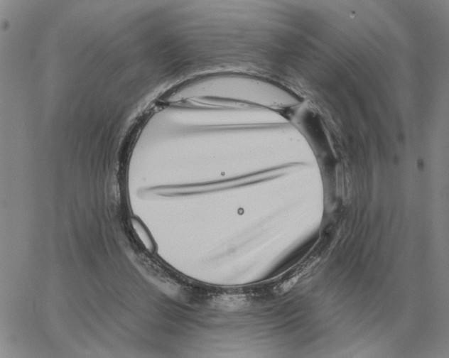 X0000064770252200603131441