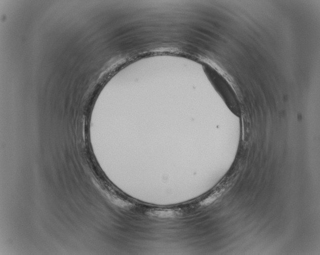 X0000064770253200603131441