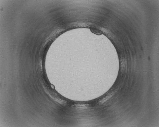 X0000064770254200603131441