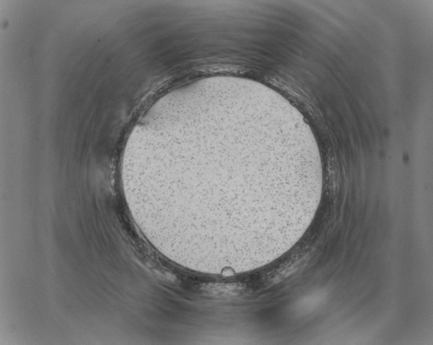 X0000064770255200603131441