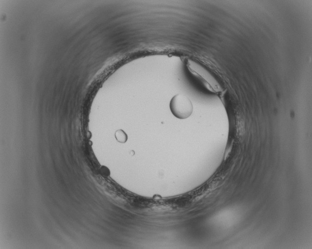 X0000064770256200603131441