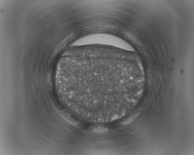 X0000064770258200603131441