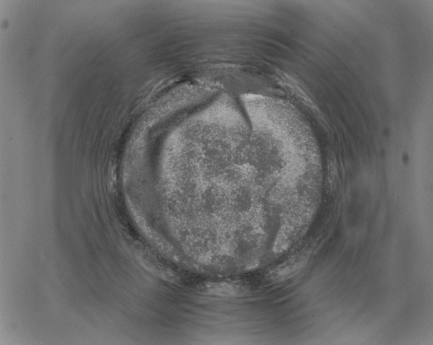 X0000064770259200603131441