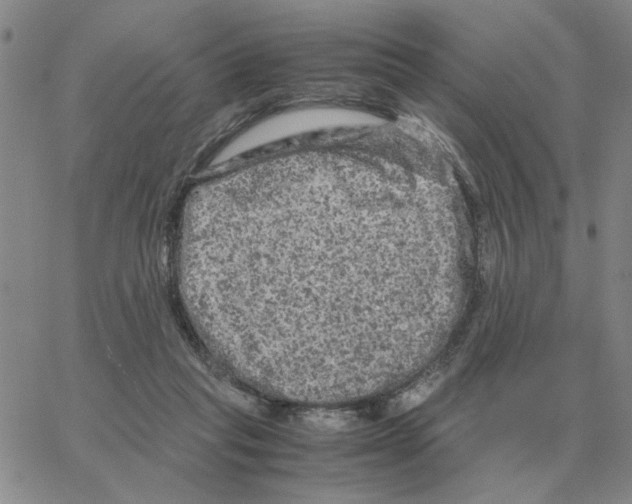 X0000064770261200603131441