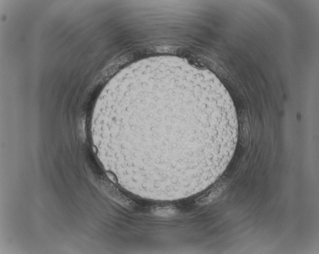 X0000064770262200603131441