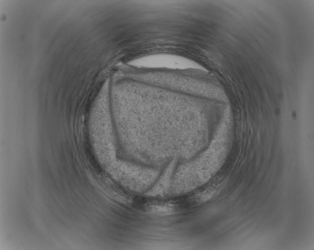 X0000064770263200603131441