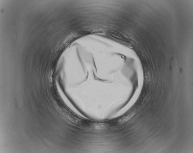 X0000064770264200603131441