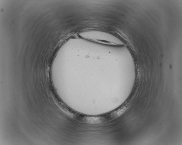 X0000064770265200603131441