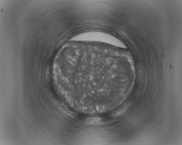 X0000064770266200603131441