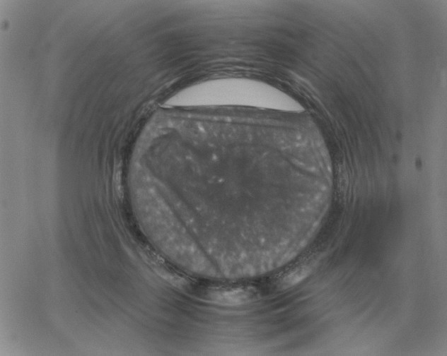 X0000064770267200603131441