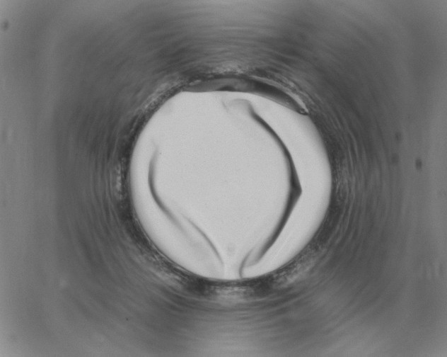 X0000064770268200603131441