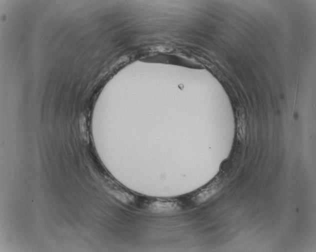 X0000064770270200603131441