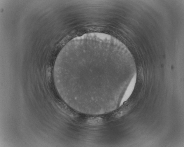 X0000064770271200603131441