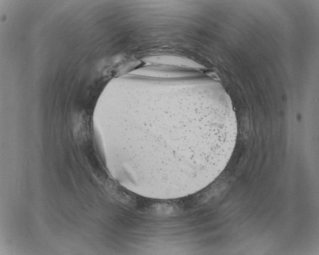 X0000064770272200603131441