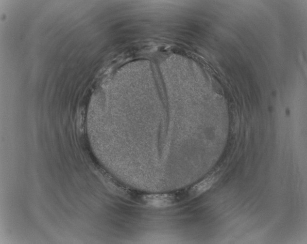 X0000064770273200603131441