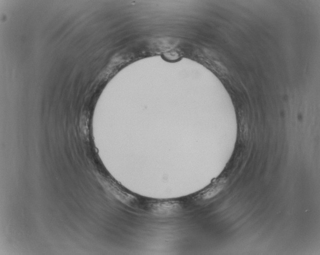 X0000064770274200603131441