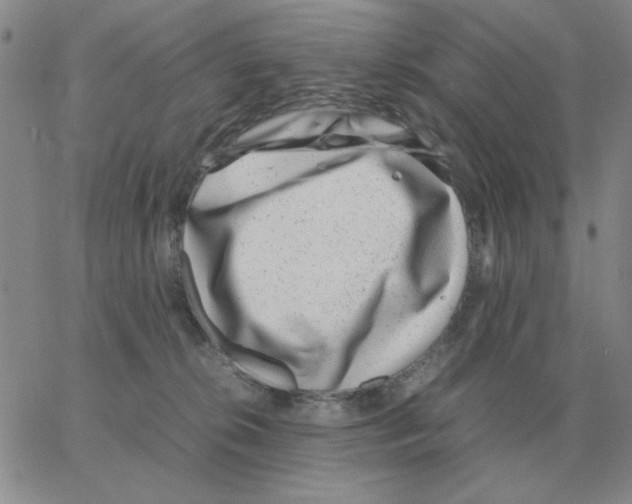 X0000064770276200603131441