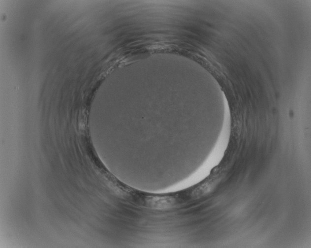 X0000064770277200603131441